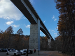 photo: ダミー